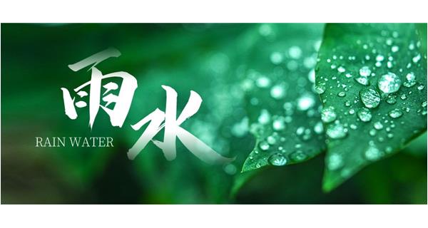 双语话节气 | 雨水：细雨添新绿，天晴好新生